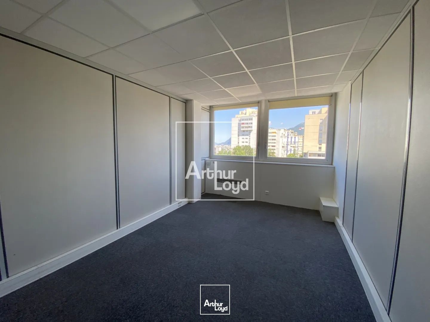 Bureaux - Location - GRENOBLE - 38100 - 16.65-6175.22 - 7669125