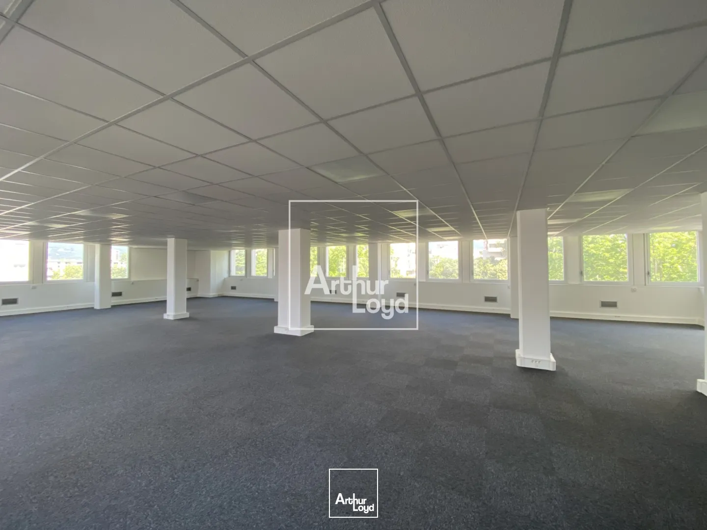 Bureaux - Location - GRENOBLE - 38100 - 16.65-6175.22 - 7669121