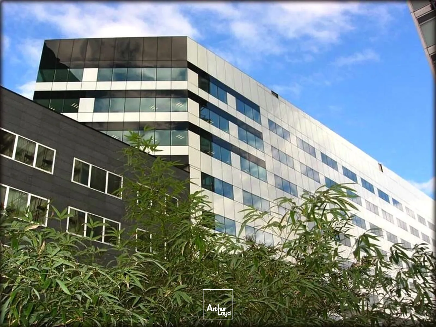 Bureaux - Location - EURALILLE - 59777 - 509-509 - 7669383