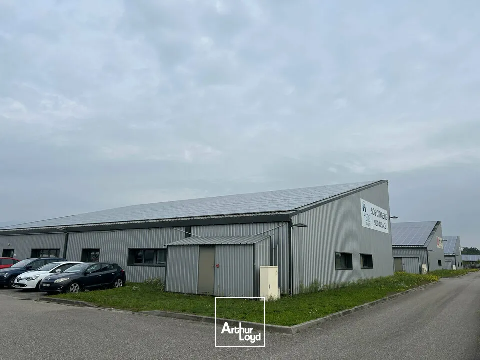 Locaux d'activité & Entrepôts - Location - STAFFELFELDEN - 68850 - 720-720 - 7669750