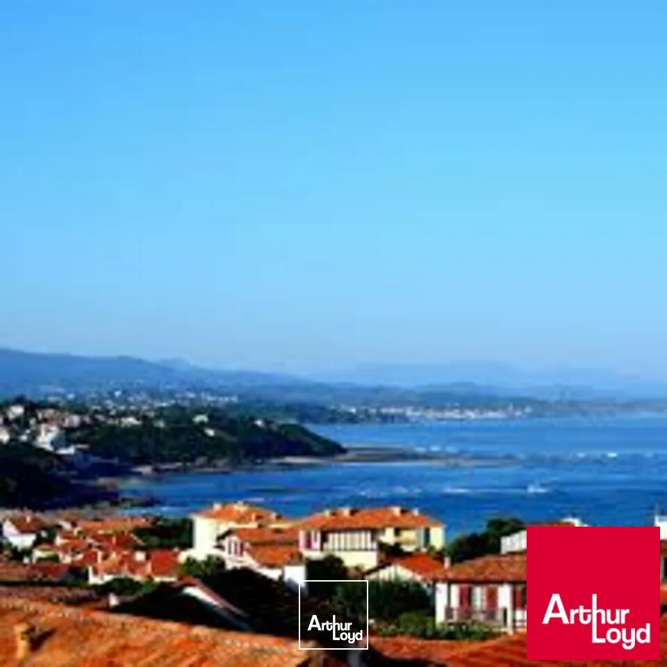 Locaux commerciaux - Location - BIDART - 64210 - 100-100 - 7669780