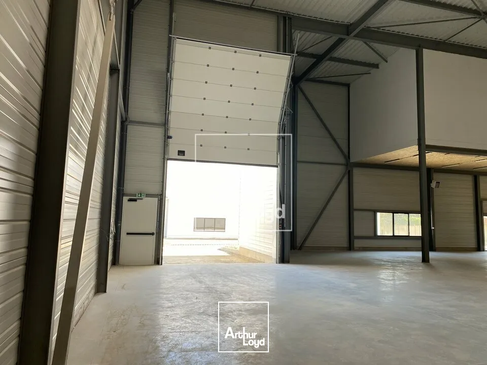 Locaux d'activité & Entrepôts - Vente - OLLAINVILLE - 91290 - 491-1922 - 7669795