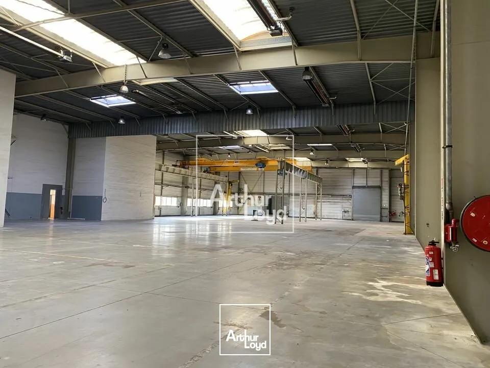 Locaux d'activité & Entrepôts - Location - LISSES - 91090 - 2816-2816 - 7669812