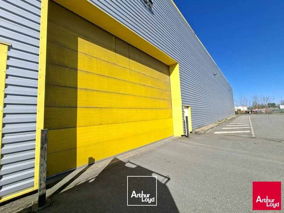 Locaux d'activité & Entrepôts - Location - CHAMPAGNE - 72470 - 3400-3400 - 7669862