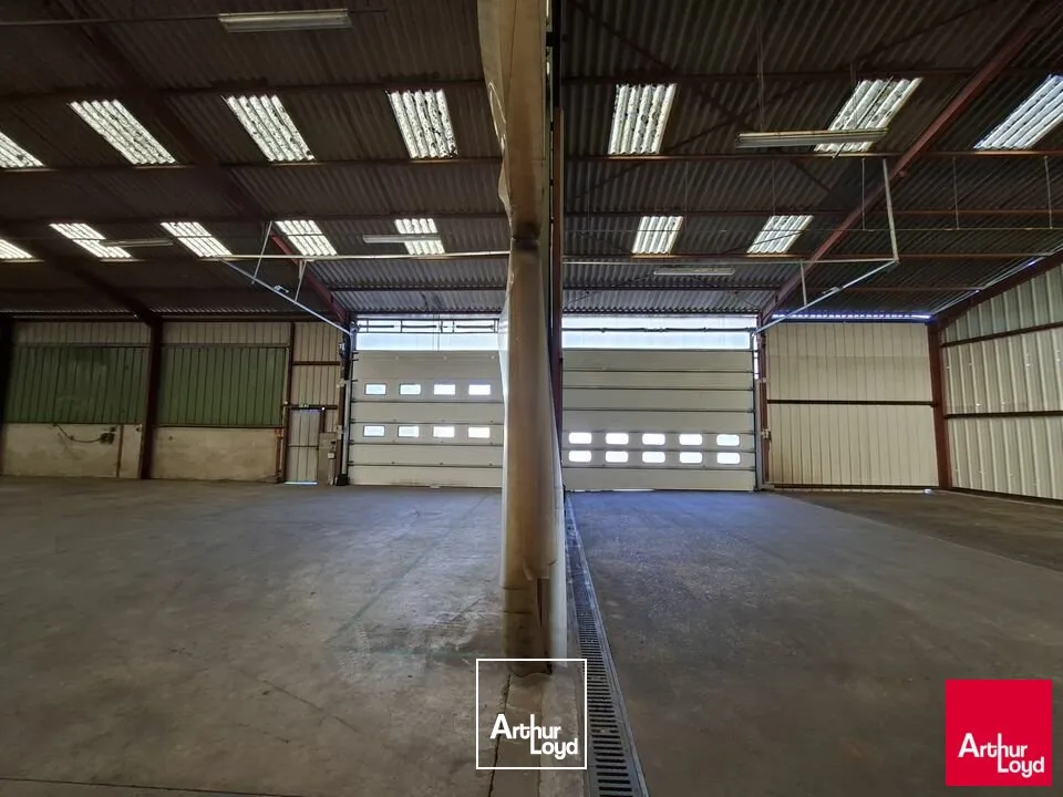 Locaux d'activité & Entrepôts - Location - CHAMPAGNE - 72470 - 950-950 - 7669869