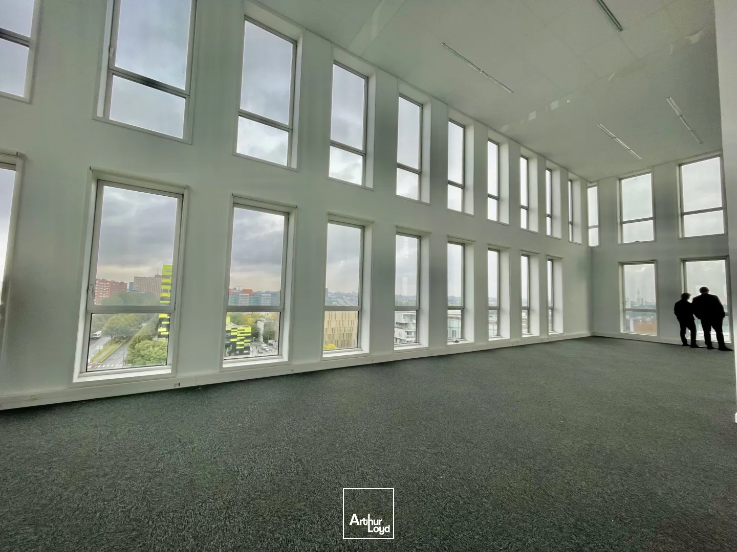 Bureaux - Location - EURALILLE - 59777 - 103-874.57 - 7670334