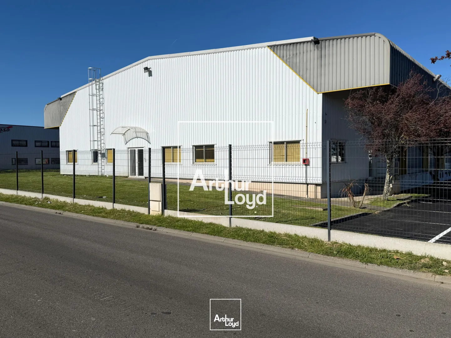 Locaux d'activité & Entrepôts - Location - CUGNAUX - 31270 - 3613-3613 - 7670380