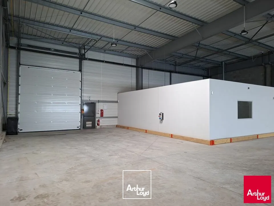 Locaux d'activité & Entrepôts - Location - LE MANS - 72100 - 500-500 - 7670606