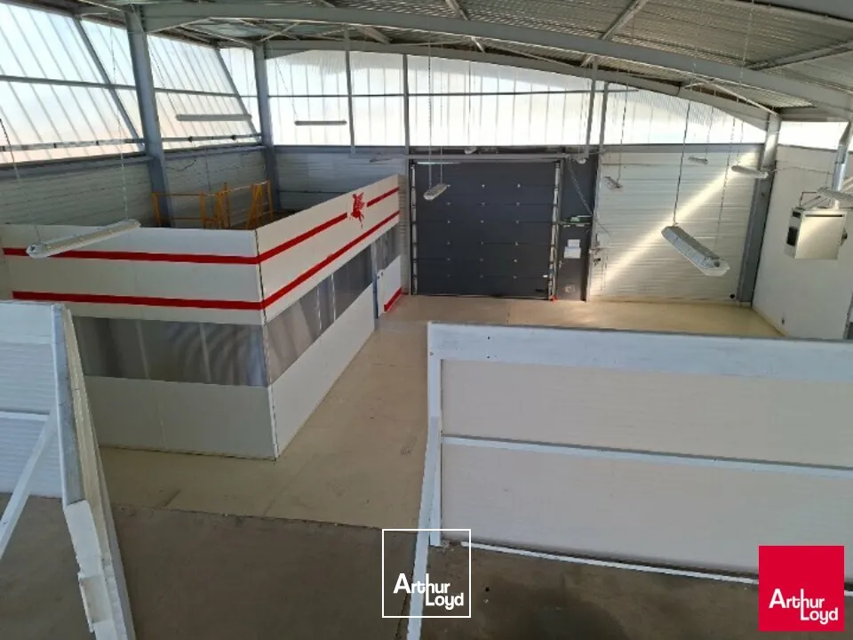 Locaux d'activité & Entrepôts - Location - LE MANS - 72100 - 584-584 - 7670609