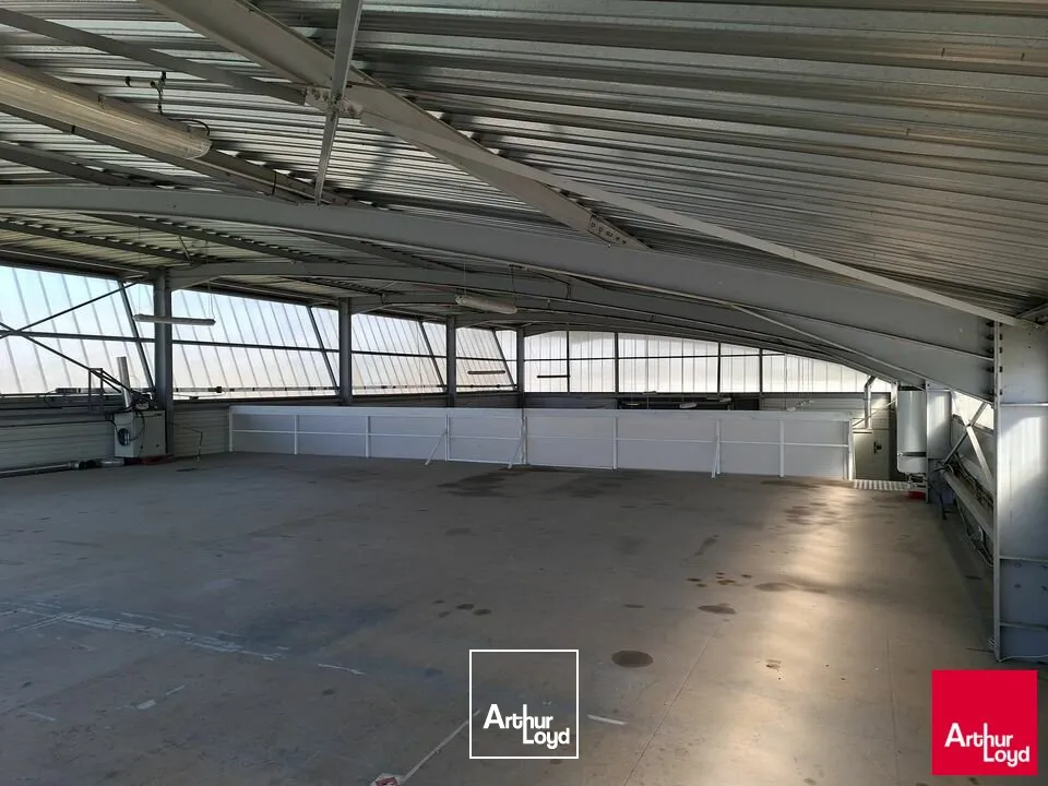 Locaux d'activité & Entrepôts - Location - LE MANS - 72100 - 584-584 - 7670612