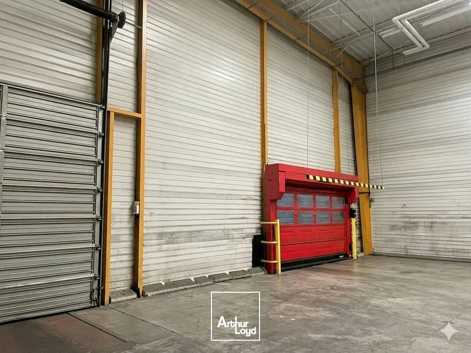 Locaux d'activité & Entrepôts - Vente - AIZENAY - 85190 - 23091-23091 - 7670625