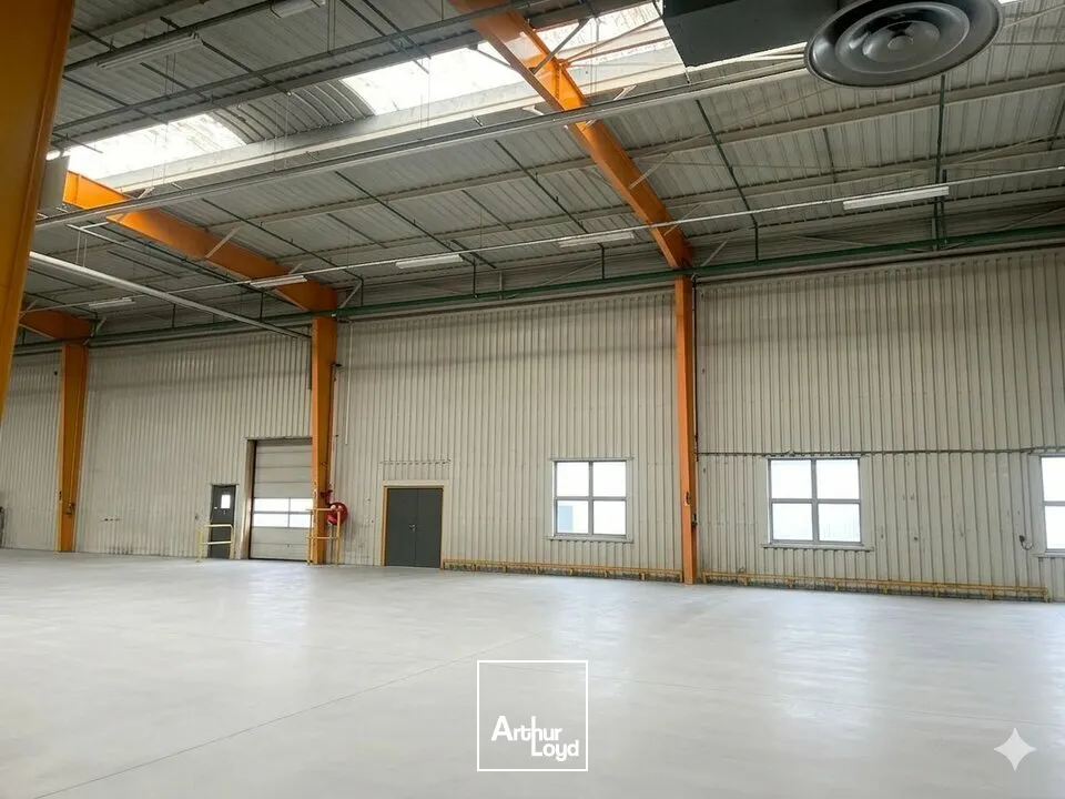 Locaux d'activité & Entrepôts - Vente - AIZENAY - 85190 - 23091-23091 - 7670622