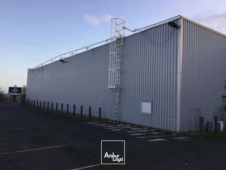 Locaux commerciaux - Location - CHASSENEUIL DU POITOU - 86360 - 1950-1950 - 7670639