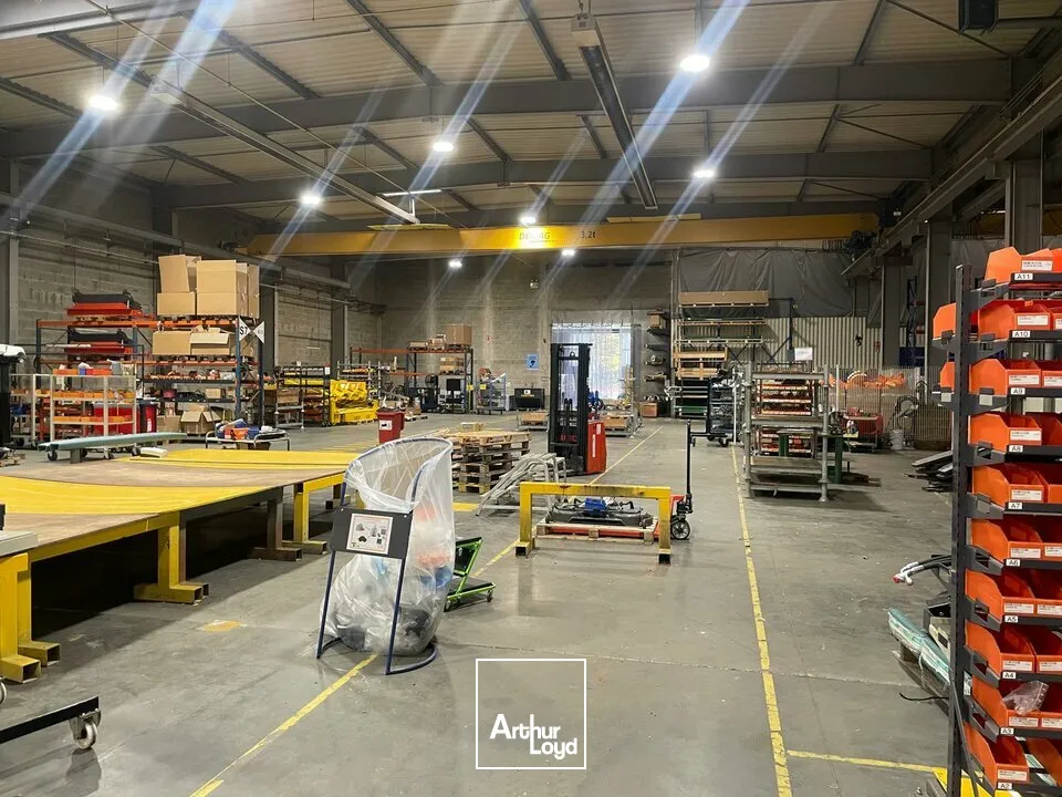 Locaux d'activité & Entrepôts - Location - BOURNEZEAU - 85480 - 6580-6580 - 7670650