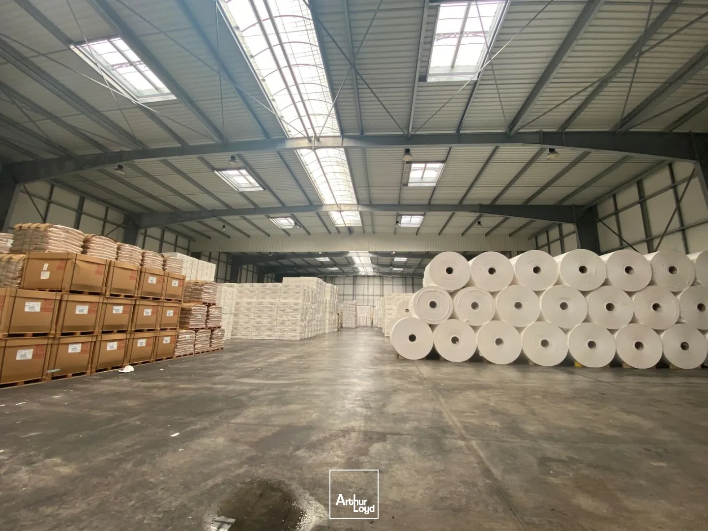 Locaux d'activité & Entrepôts - Vente - REDENE - 29300 - 3647-3647 - 7670782