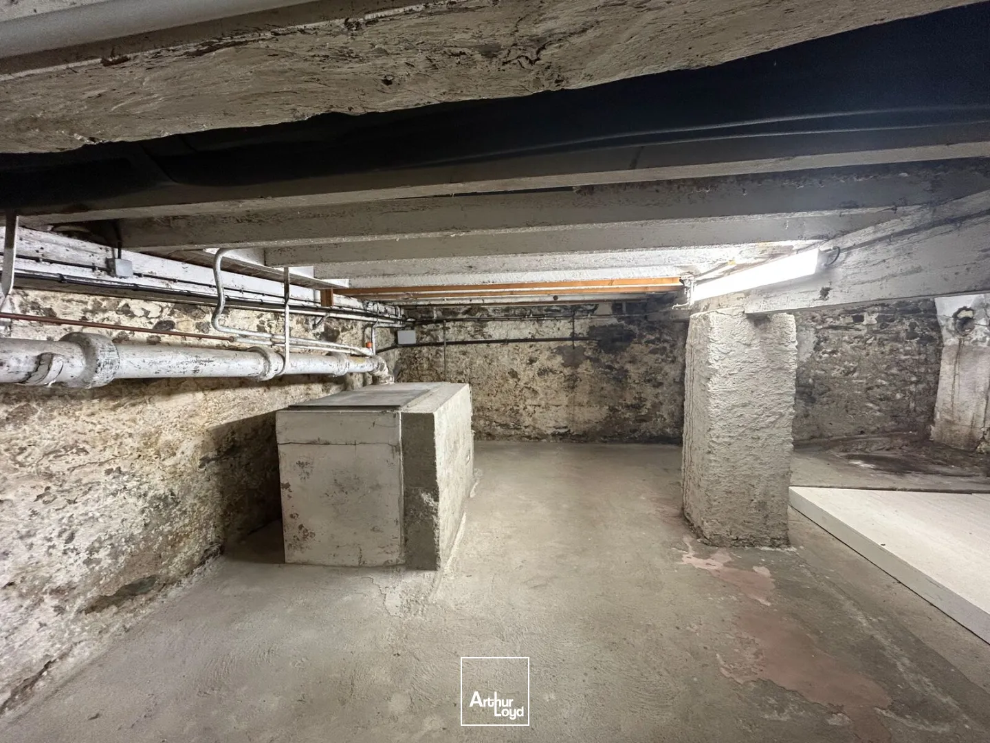 Locaux commerciaux - Location - DIVATTE SUR LOIRE - 44450 - 240-592 - 7670989