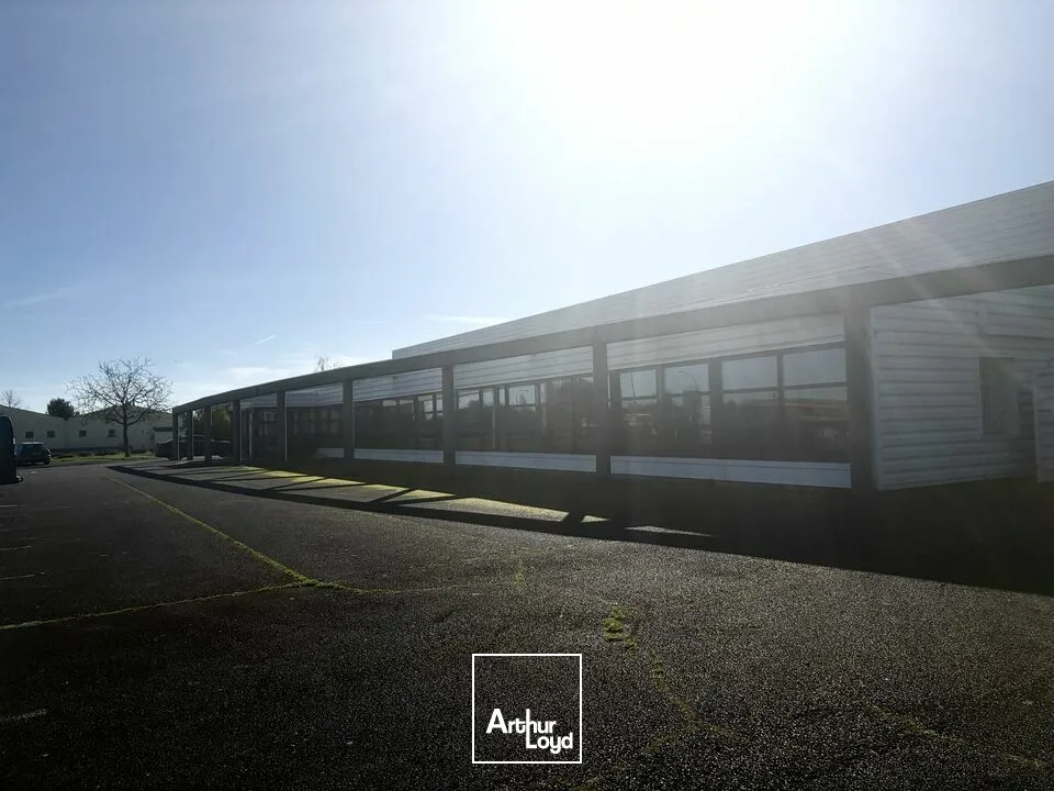 Bureaux - Vente - NIORT - 79000 - 1500-1500 - 7671564