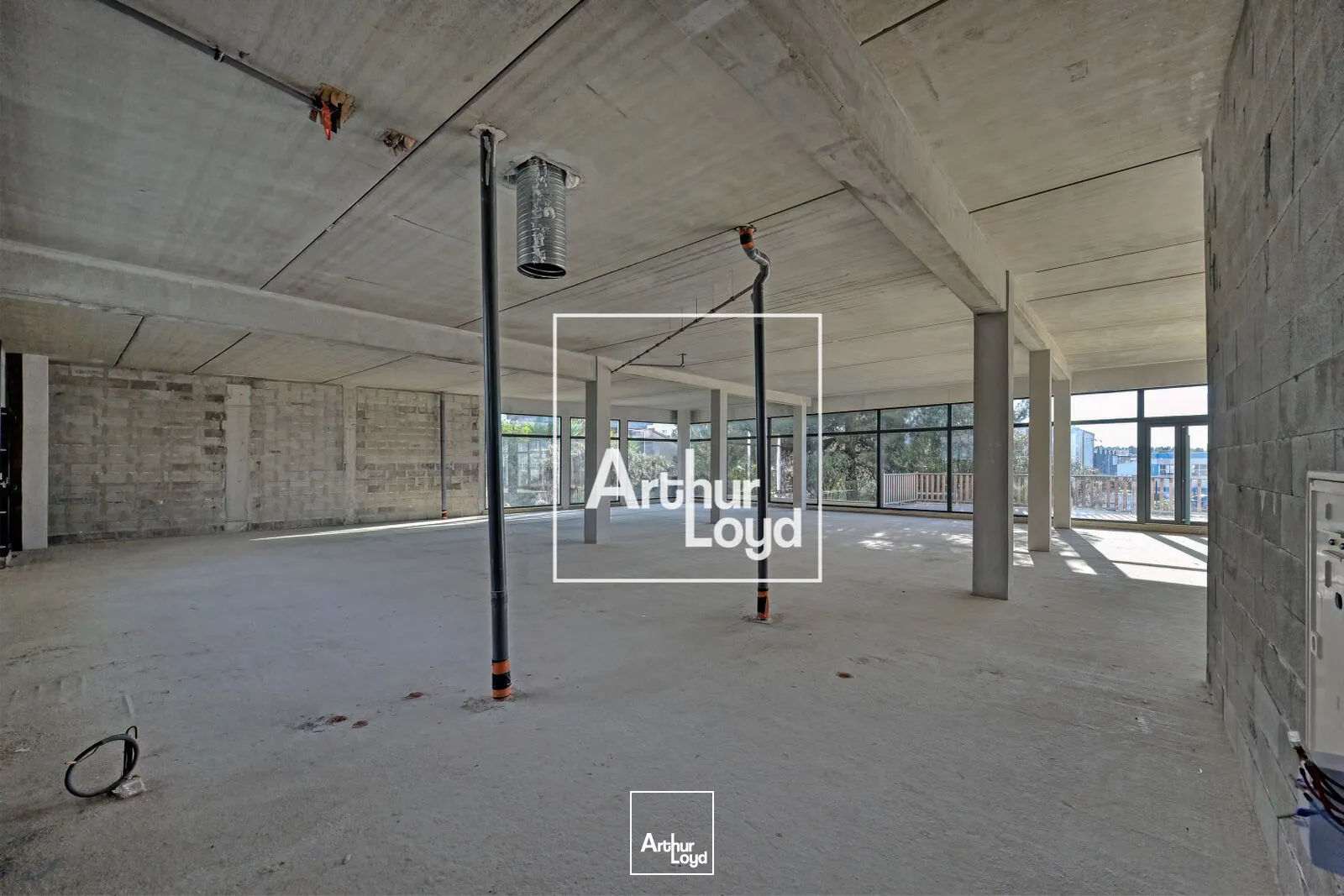 Locaux commerciaux - Location - LATTES - 34970 - 306.3-306.3 - 7671695