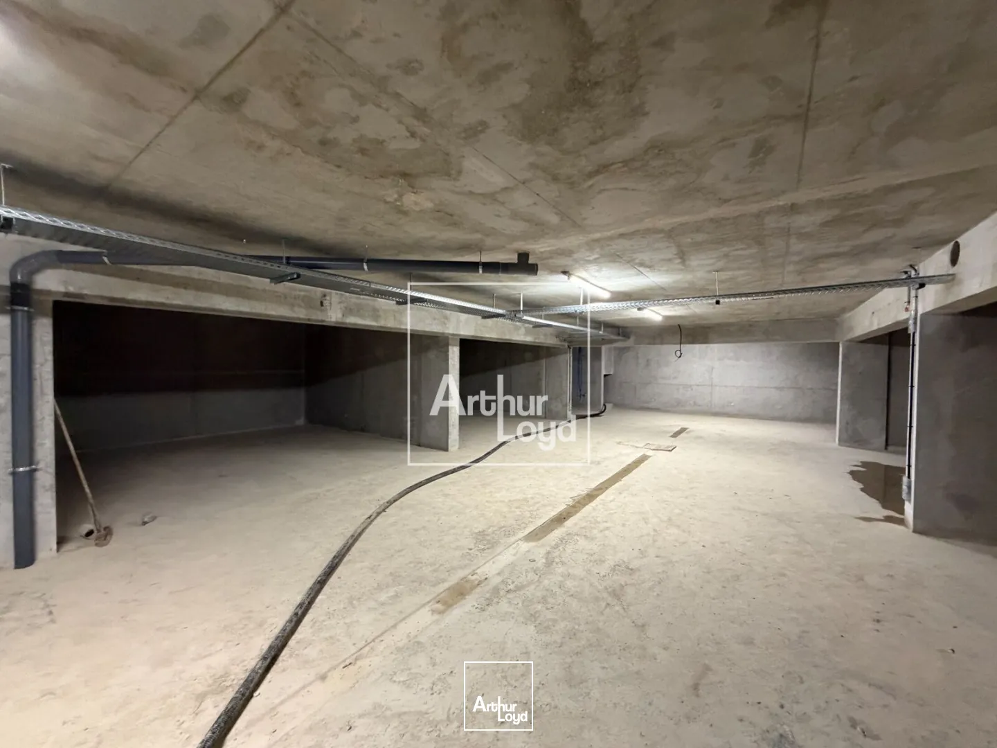 Bureaux - Location - SAINT MARTIN D'HERES - 38400 - 115-537 - 7672813