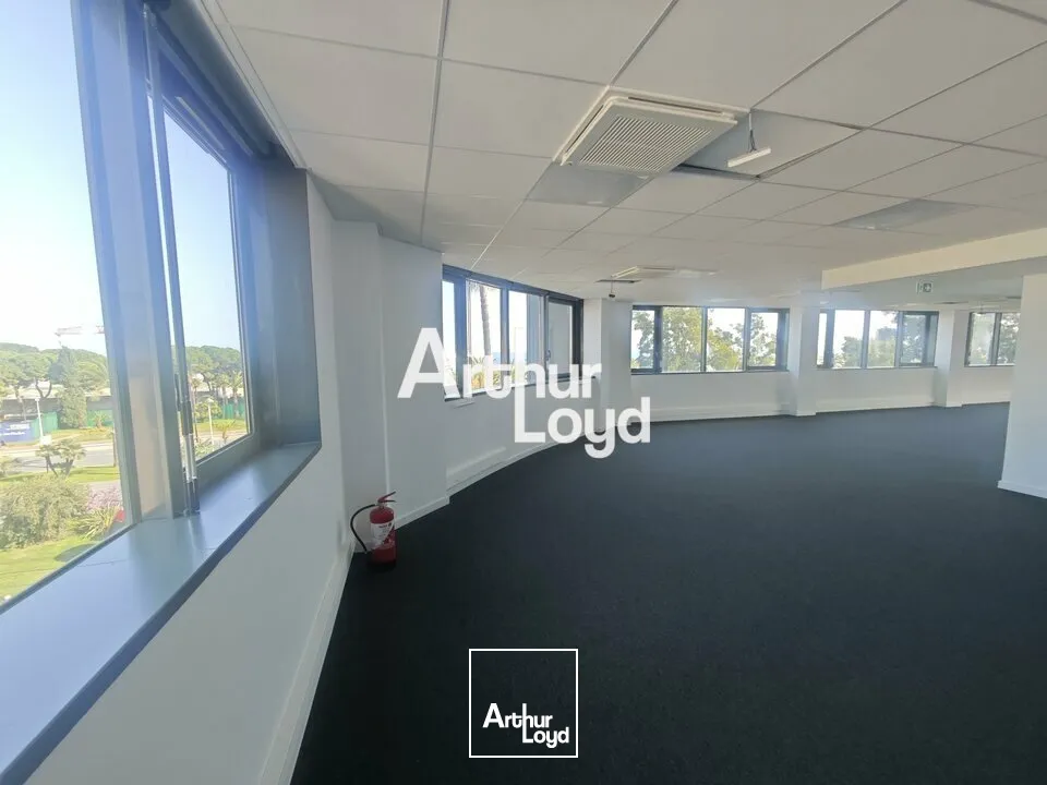 Bureaux - Location - NICE - 06000 - 275-1712 - 7673157