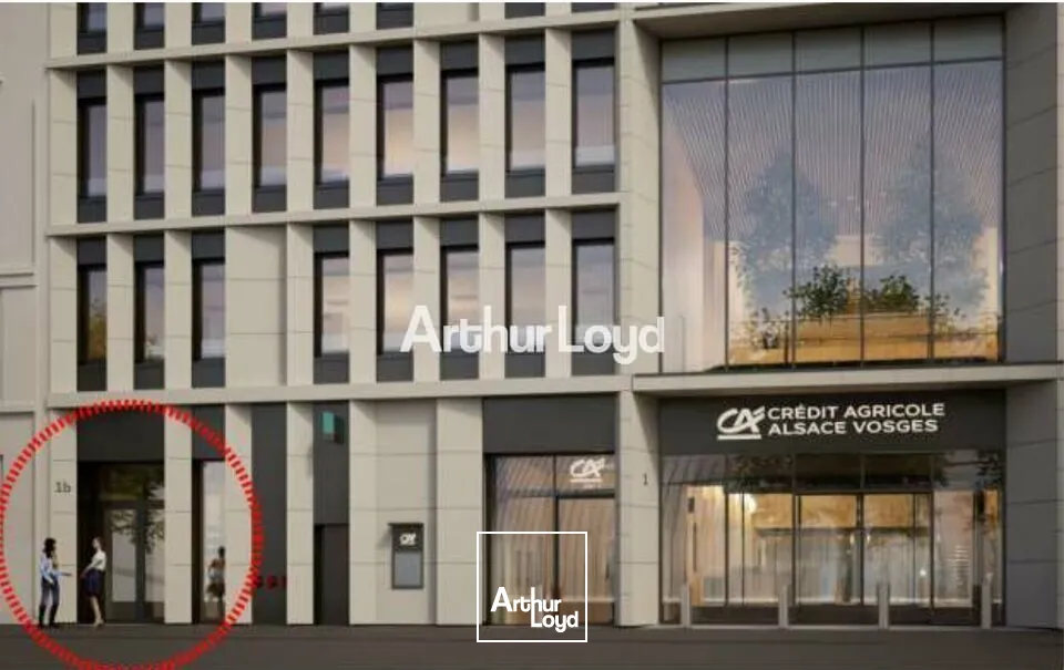 Bureaux - Location - STRASBOURG - 67000 - 361-2841 - 7673220