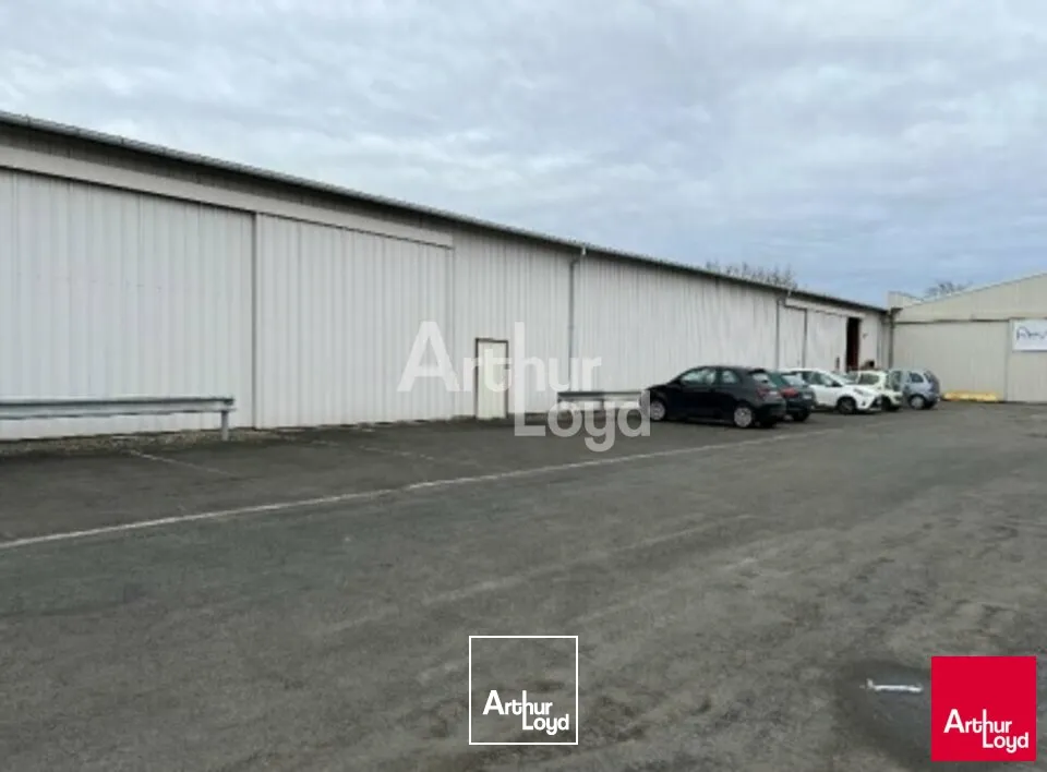 Locaux d'activité & Entrepôts - Location - TRELAZE - 49800 - 450-450 - 7673273