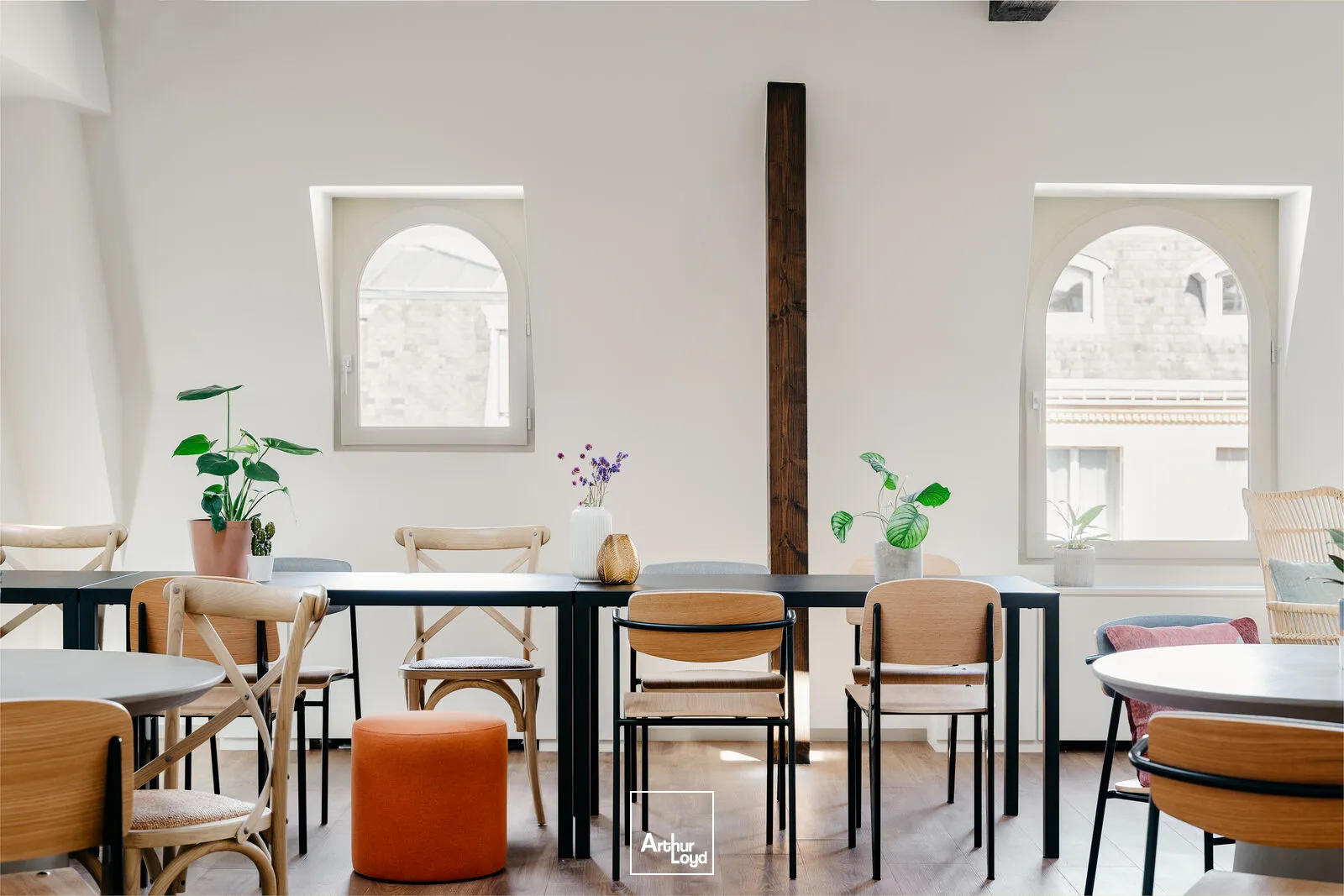 Bureaux - Coworking - PARIS - 75009 - 545-545 - 7673999