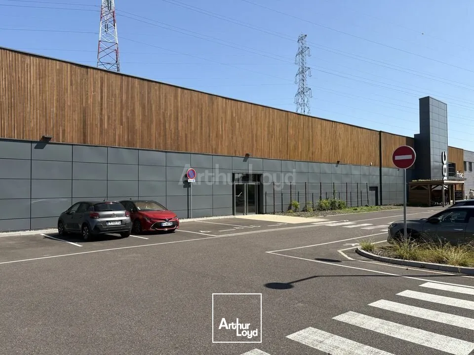 Locaux commerciaux - Location - LAMPERTHEIM - 67450 - 638.57-638.57 - 7674380