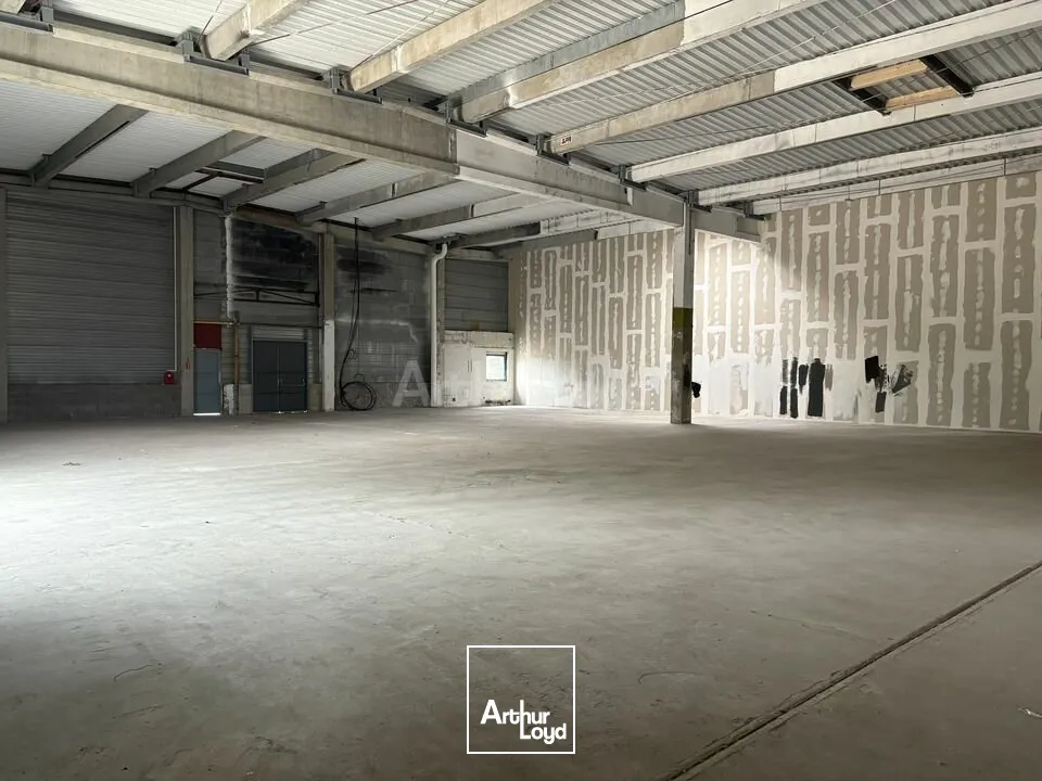 Locaux commerciaux - Location - LAMPERTHEIM - 67450 - 638.57-638.57 - 7674385