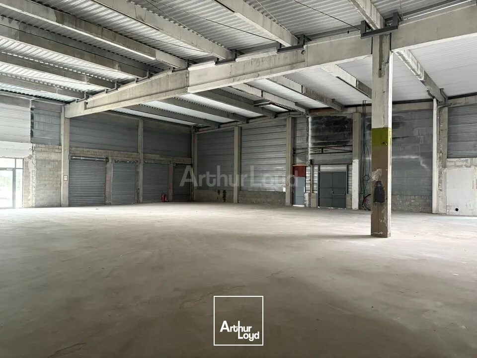 Locaux commerciaux - Location - LAMPERTHEIM - 67450 - 638.57-638.57 - 7674384