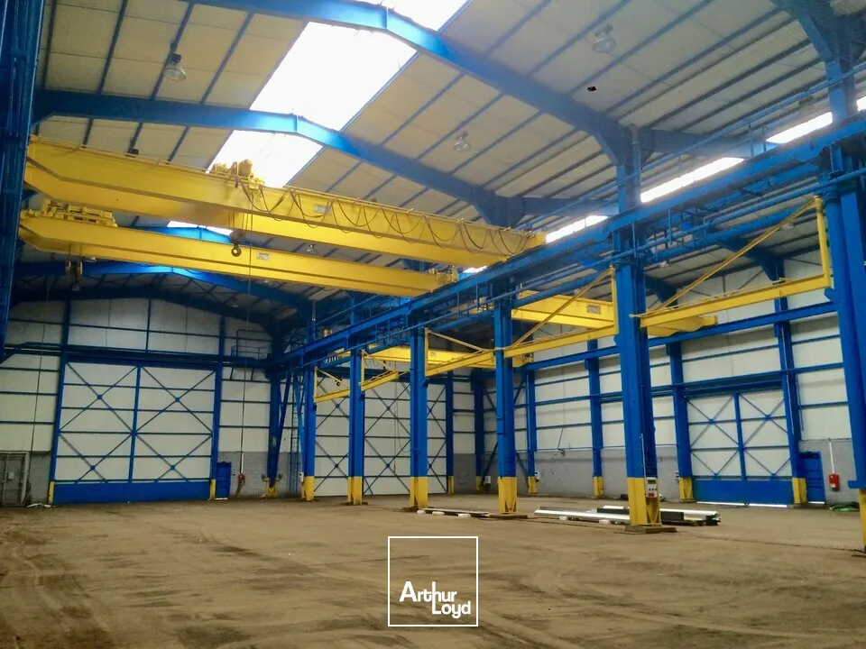 Locaux d'activité & Entrepôts - Location - ROGERVILLE - 76700 - 1870-1870 - 7674528