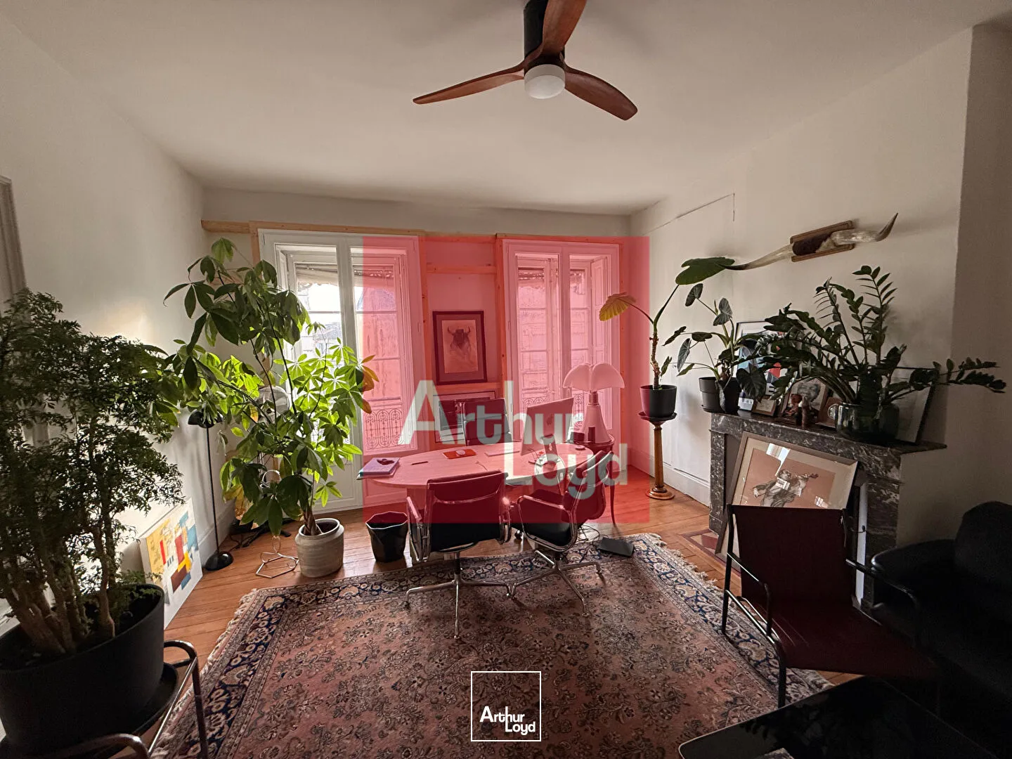 Bureaux - Location - AGEN - 47000 - 246-246 - 7675057