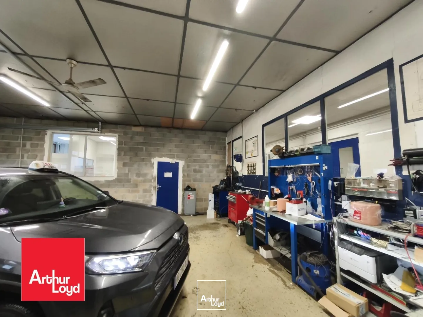 Locaux d'activité & Entrepôts - Location - LUCE - 28110 - 1800-1800 - 7675175