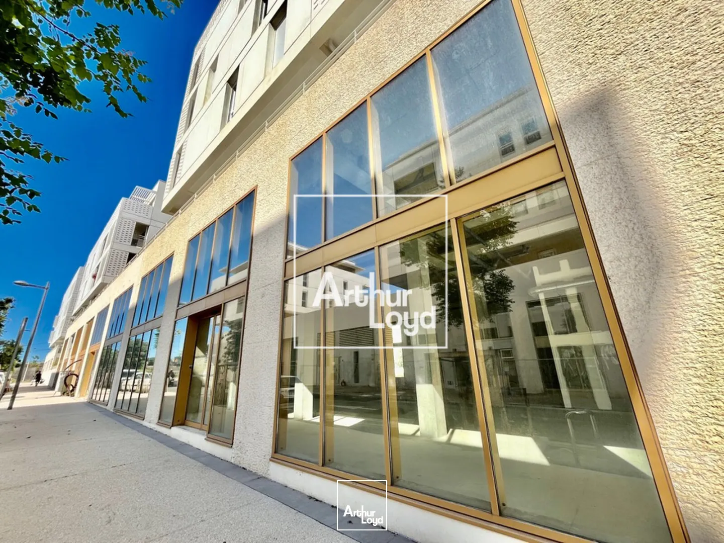 Locaux commerciaux - Location - MONTPELLIER - 34000 - 268-268 - 7675428