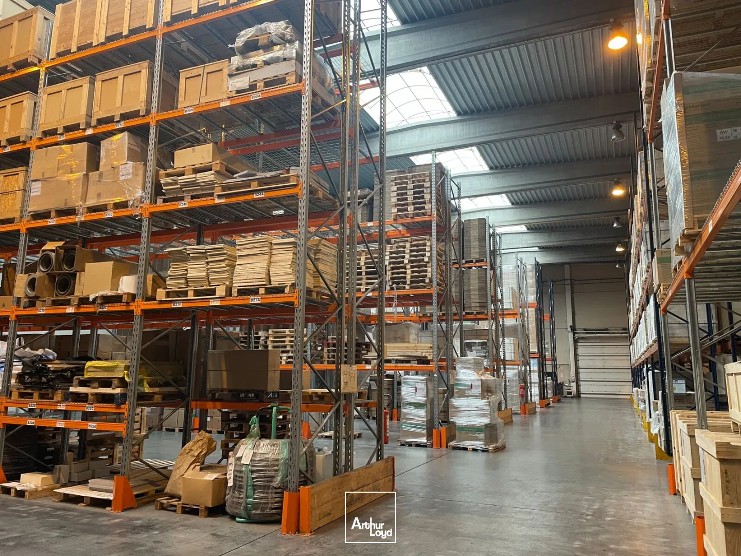 Locaux d'activité & Entrepôts - Vente - ROUVIGNIES - 59220 - 4732-4732 - 7675779