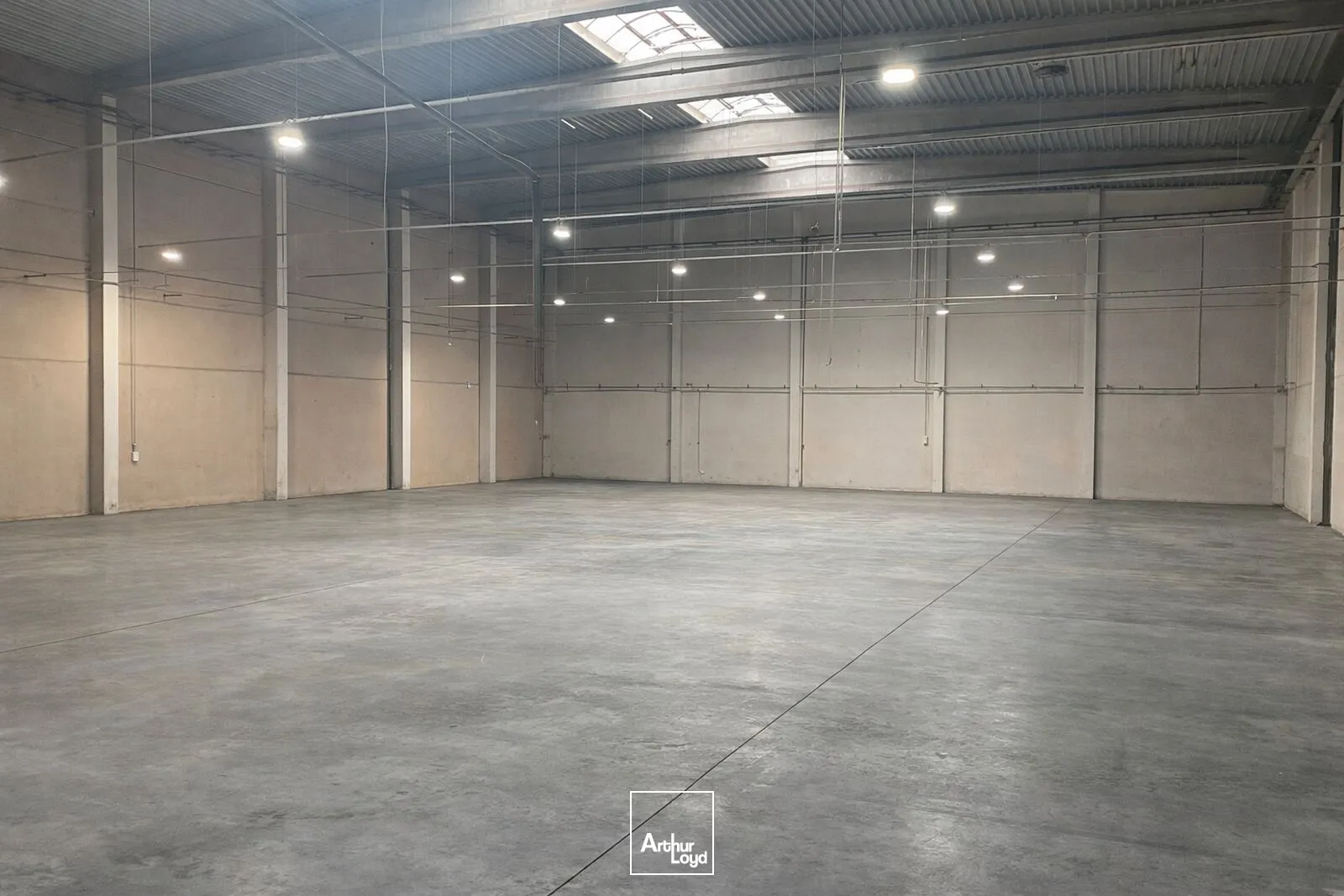 Locaux d'activité & Entrepôts - Vente - ROUVIGNIES - 59220 - 4732-4732 - 7675777