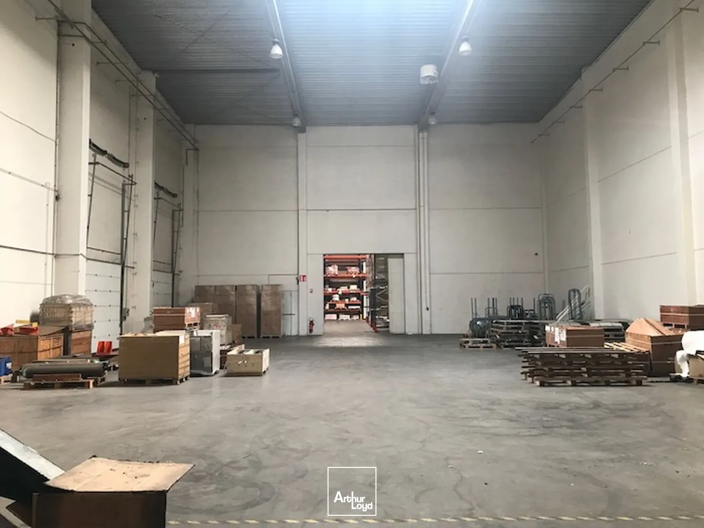 Locaux d'activité & Entrepôts - Vente - ROUVIGNIES - 59220 - 4732-4732 - 7675780