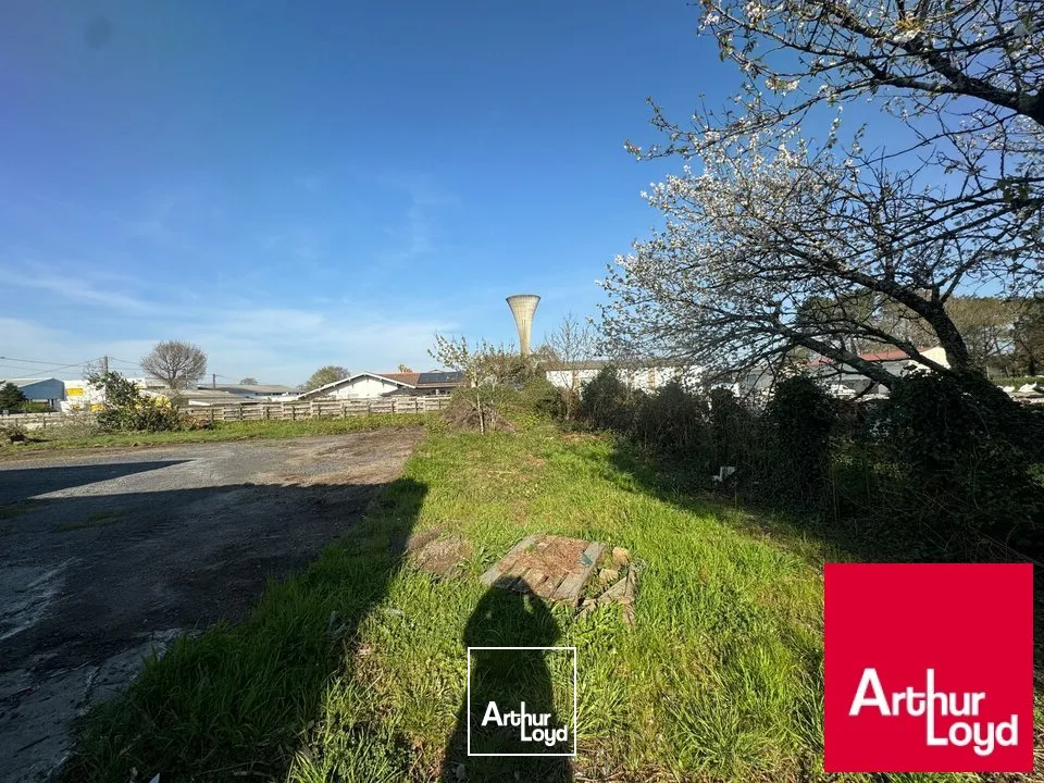 Locaux d'activité & Entrepôts - Location - SAINT-VINCENT-DE-TYROSSE - 40230 - 600-600 - 7676138