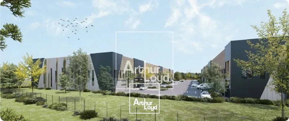 Locaux d'activité & Entrepôts - Location - WISSOUS - 91320 - 637-9501 - 7676195