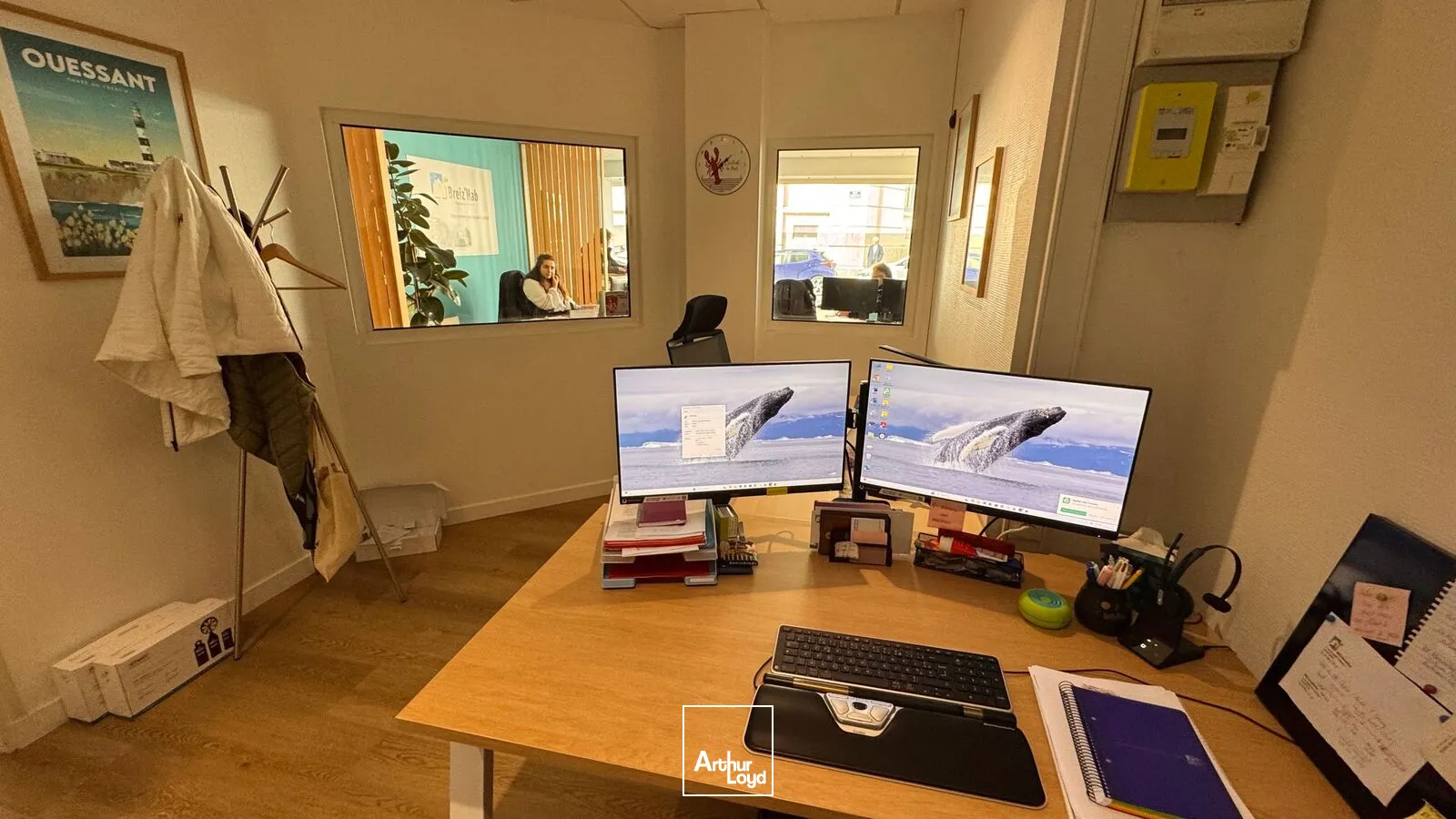 Locaux commerciaux - Location - BREST - 29200 - 59.83-59.83 - 7676350