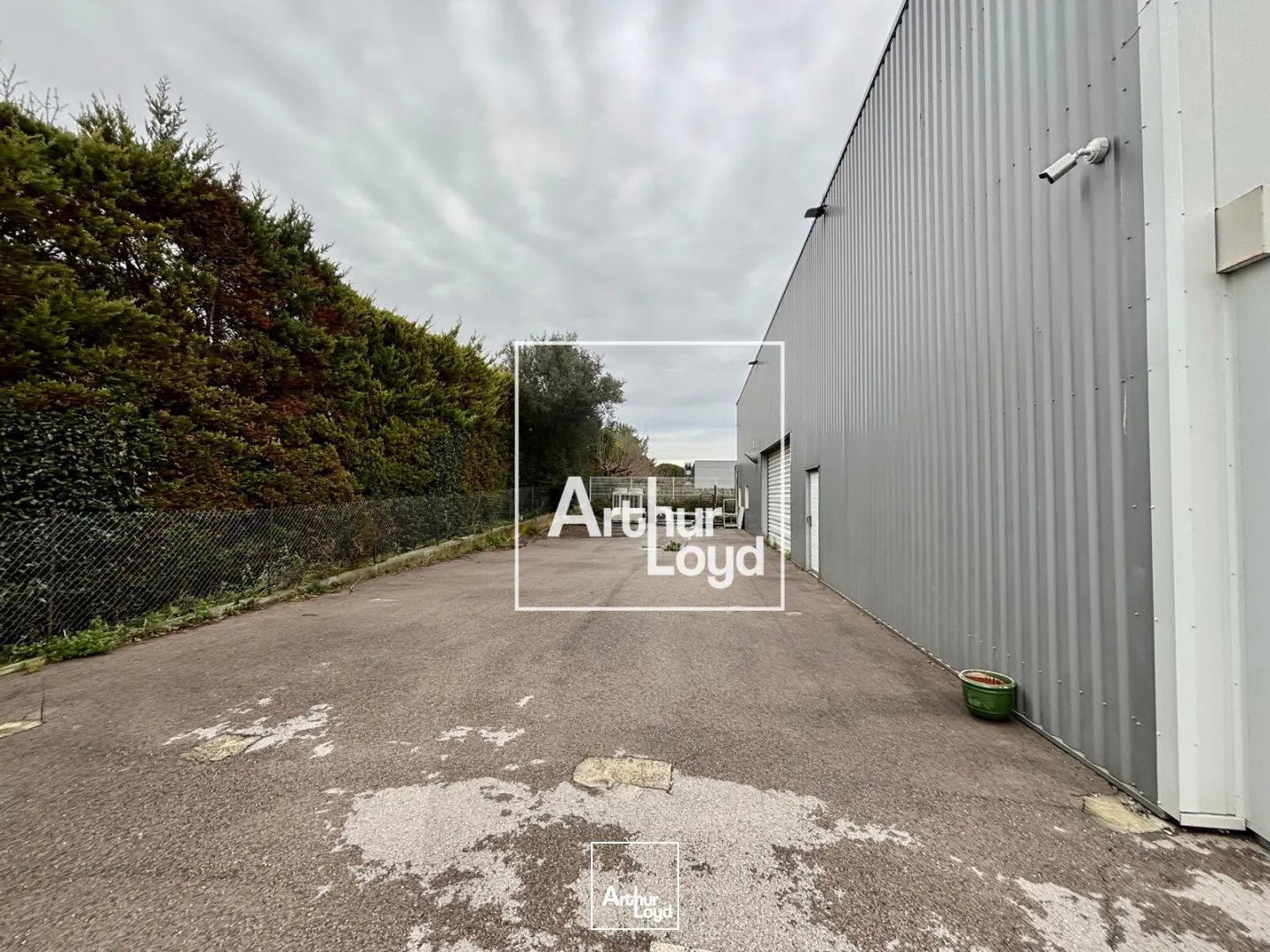 Locaux d'activité & Entrepôts - Vente - MONTPELLIER - 34070 - 1300-1300 - 7676446