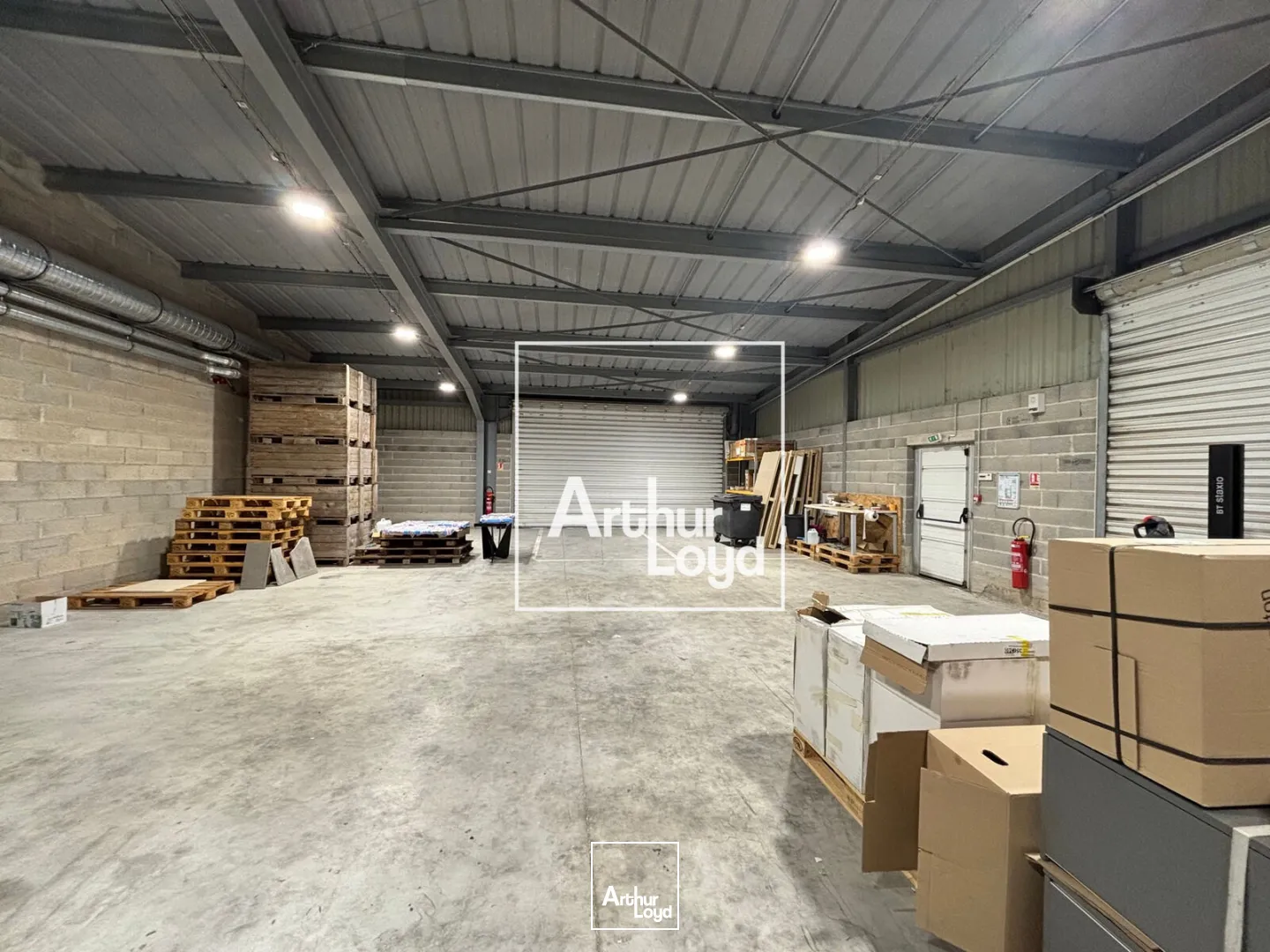 Locaux d'activité & Entrepôts - Vente - MONTPELLIER - 34070 - 1300-1300 - 7676448