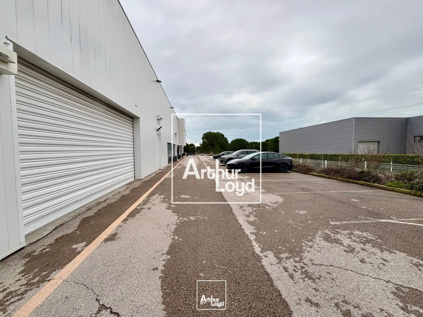 Locaux d'activité & Entrepôts - Vente - MONTPELLIER - 34070 - 1300-1300 - 7676451