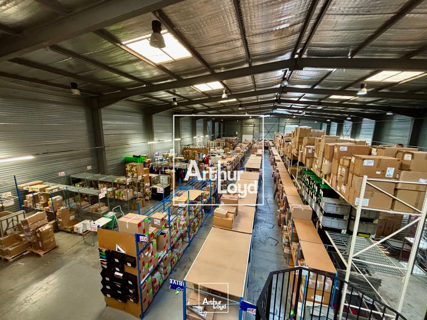 Locaux d'activité & Entrepôts - Location - LATTES - 34970 - 1690-1690 - 7676455