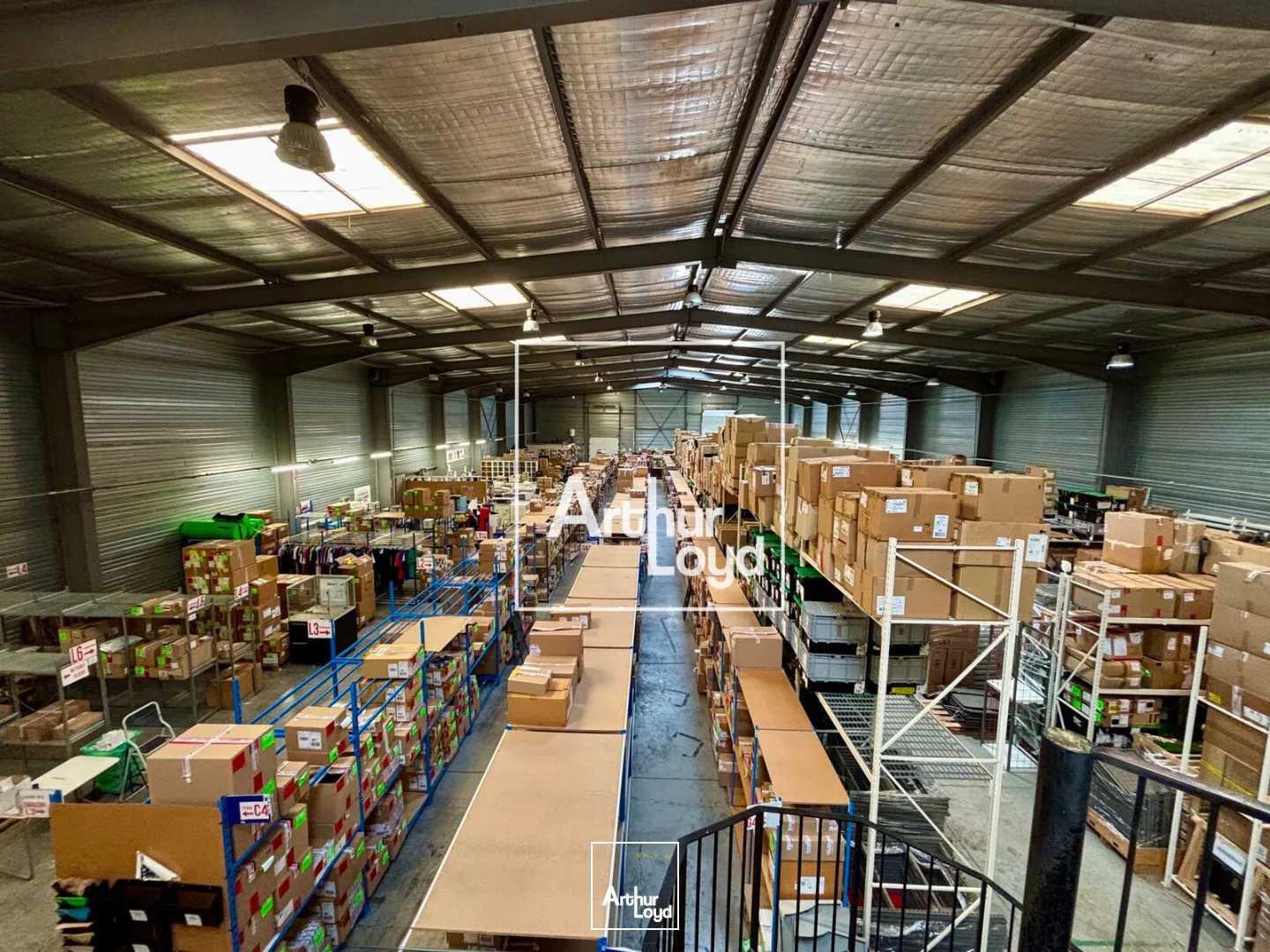 Locaux d'activité & Entrepôts - Location - LATTES - 34970 - 1690-1690 - 7676454