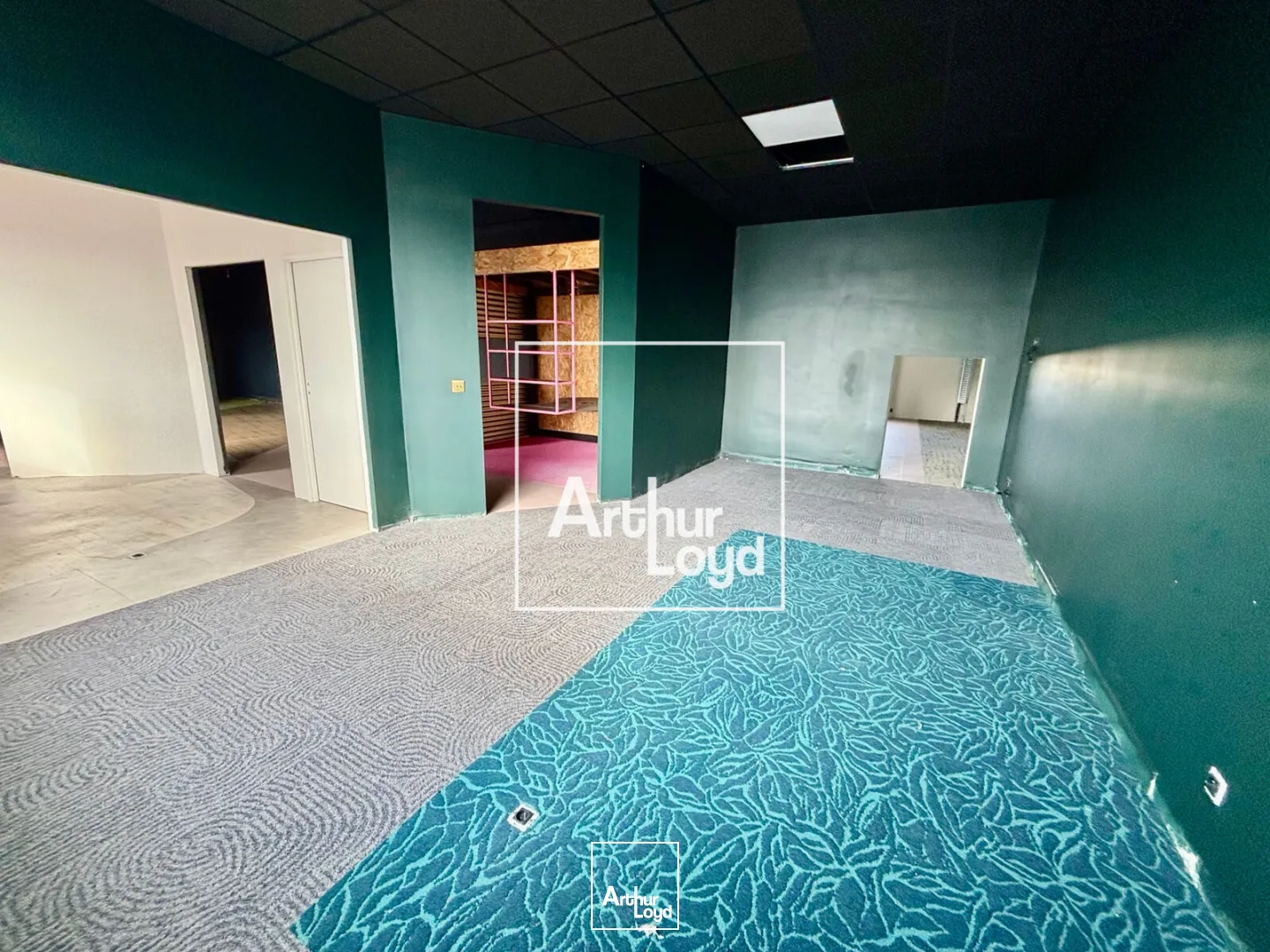 Locaux d'activité & Entrepôts - Location - MAUGUIO - 34130 - 1115-1115 - 7676488