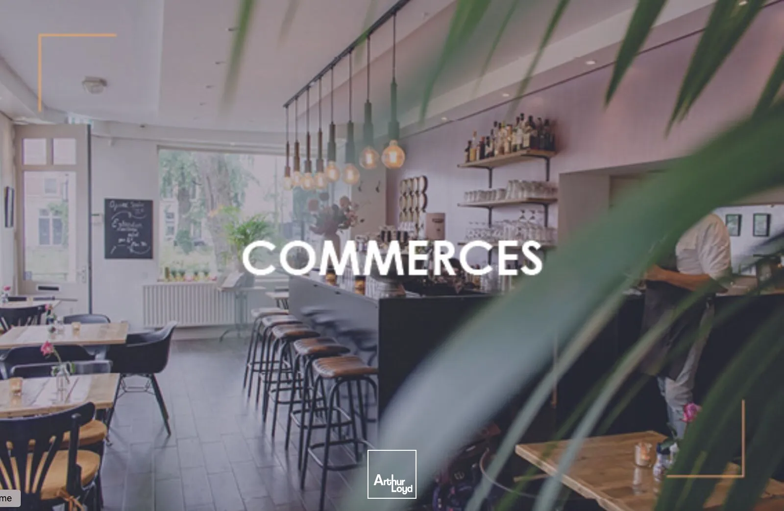 Locaux commerciaux - Location - SAINT HERBLAIN - 44800 - 255-255 - 7676613