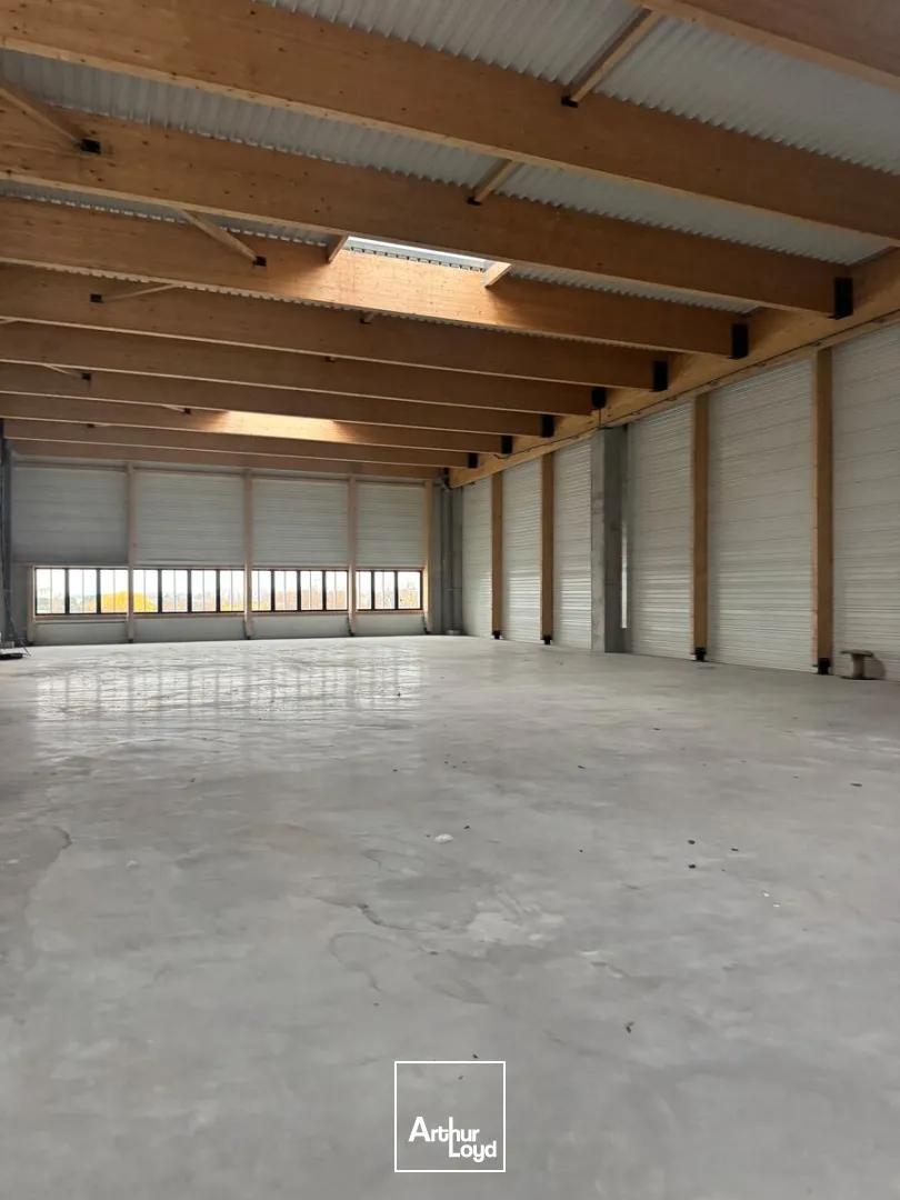 Locaux d'activité & Entrepôts - Location - LEZENNES - 59260 - 500-6000 - 7676747