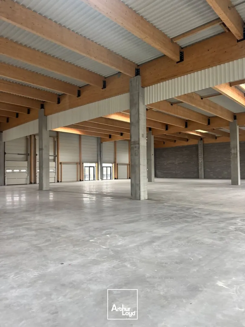 Locaux d'activité & Entrepôts - Location - LEZENNES - 59260 - 500-6000 - 7676748