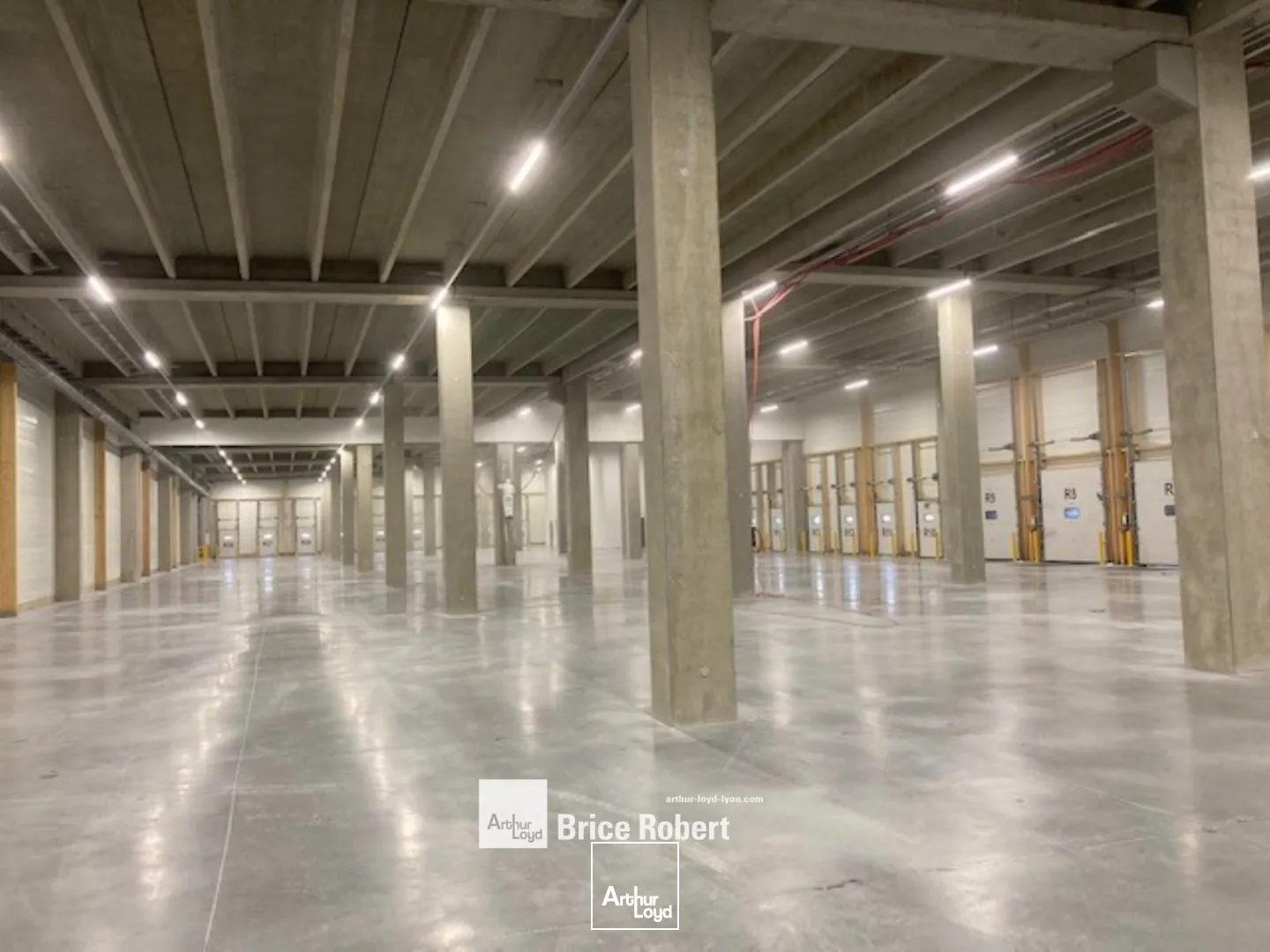 Locaux d'activité & Entrepôts - Location - CORBAS - 69960 - 5402-5402 - 7677030